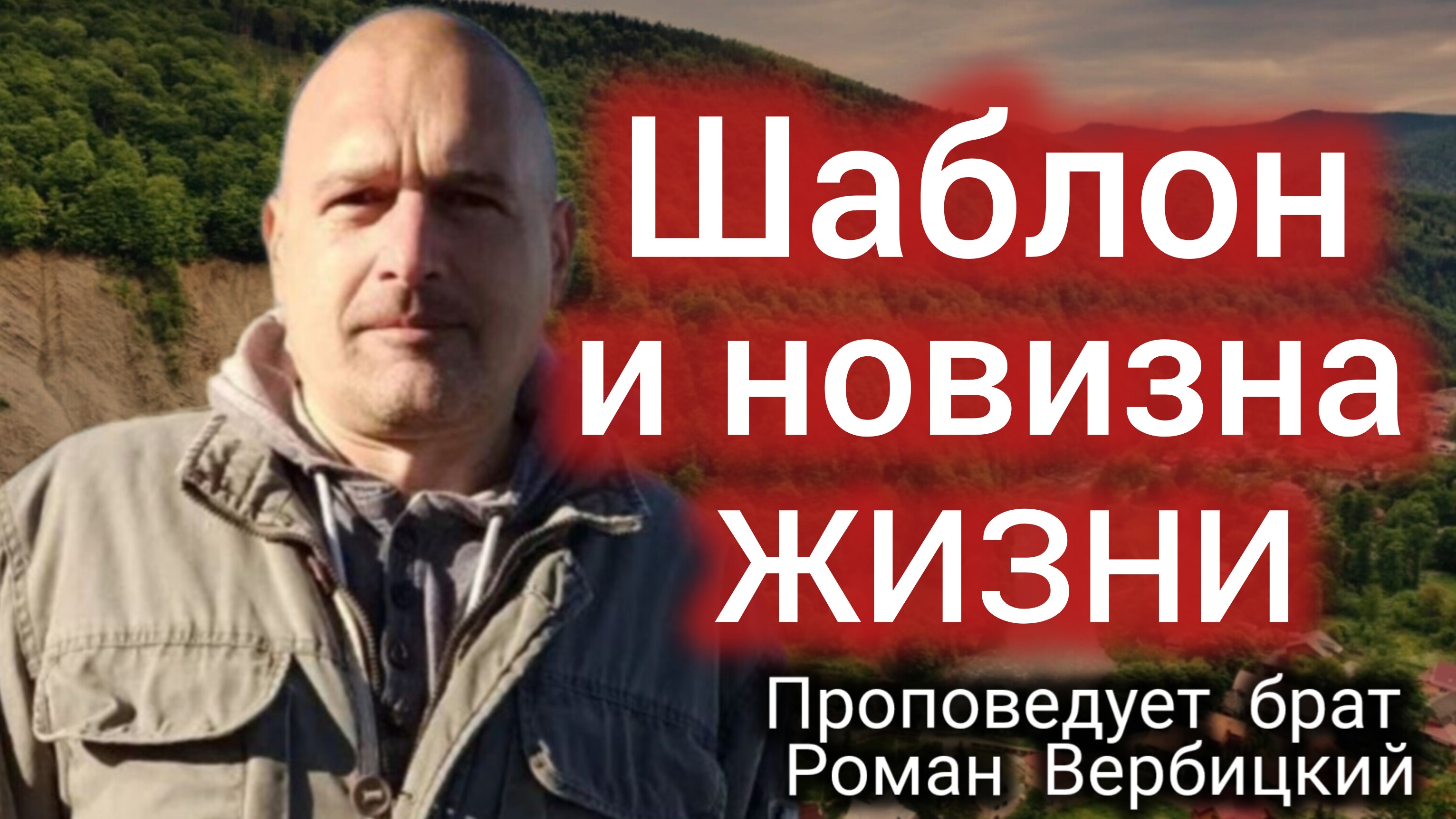 № 119⚡️Шаблон и новизна жизни⚡ЗРИ В КОРЕНЬ⚡️09.11.2024⚡Брат Роман