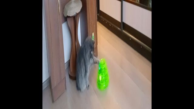 Чтоб Филе было не скучно