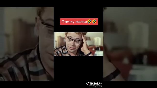 птичку жалко