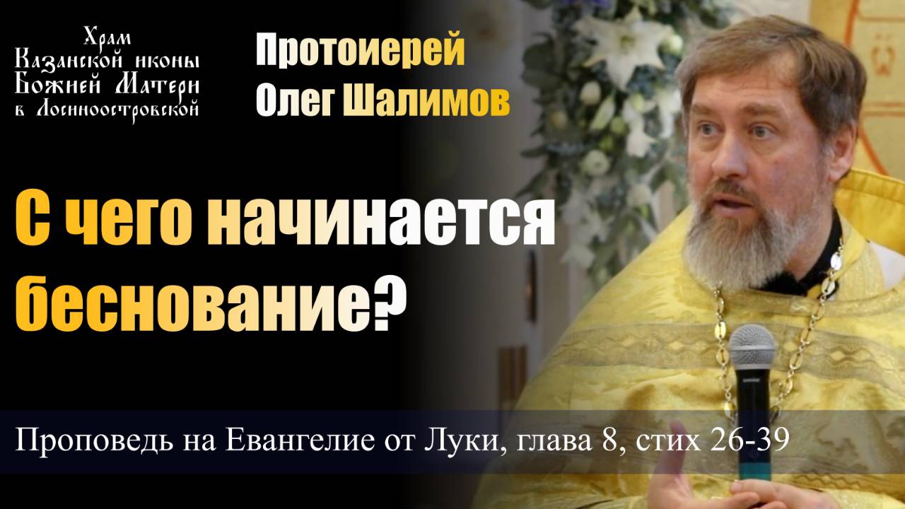 С чего начинается беснование? / Протоиерей Олег Шалимов / 10.11.24