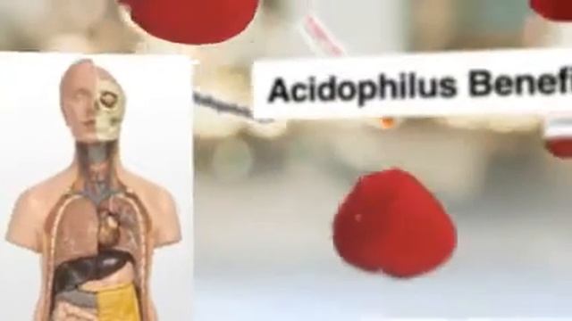 Acidophilus Benefits?