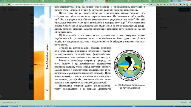 Методи вивчення поведінки тварин Щеглакова Д В
