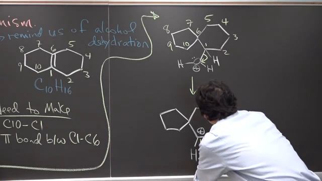 Rojas Organic Chemistry V M23 EP