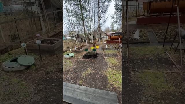 Дача СНТ "Самолет"