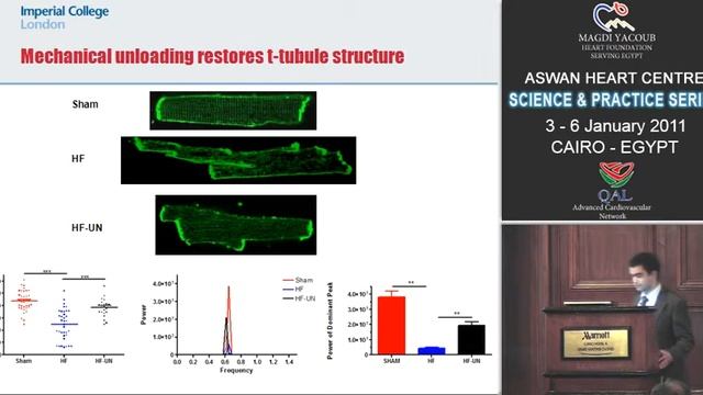 How does prolonged mechanical unloading affect Ca2+-induced Ca2+
