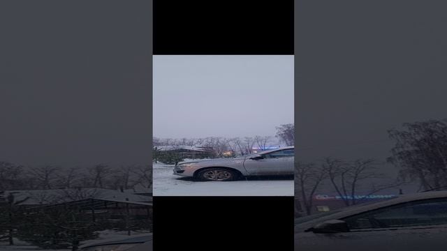 снежок