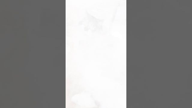 моя кошка 1