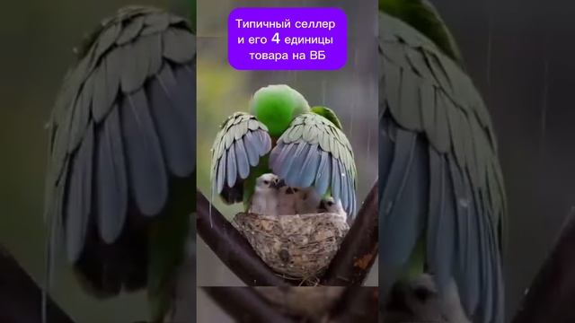 3накомая ситуация?)
