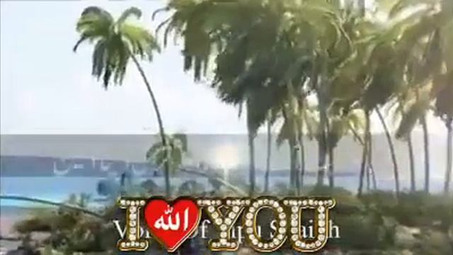 Allah  tala sab ki  jaej  tamanna Puri kare   amin