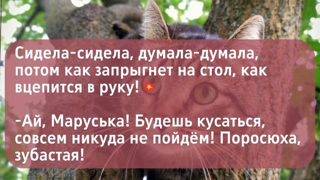 Я с утра подралась с Маруськой.