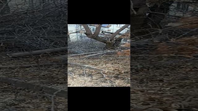 1000015608.mp4