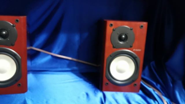 VID_20241112_154556