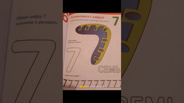 scene_output.mp4
