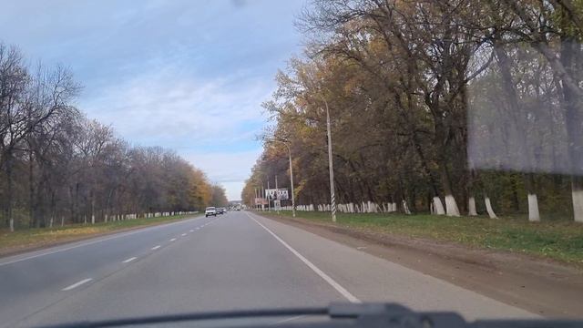Мы едем к нашим родным и вас берём с собой!