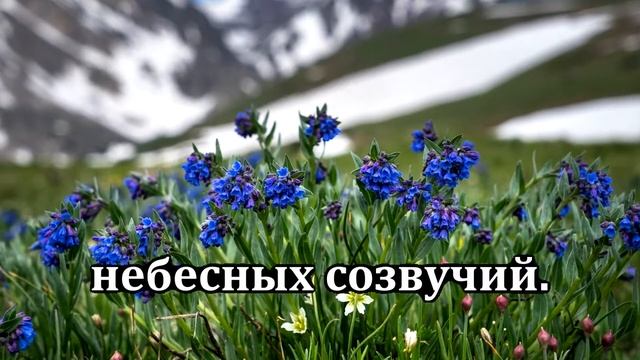 № 244 Очи открой нам _ Караоке с голосом _ Христианские песни _ Гимны надежды