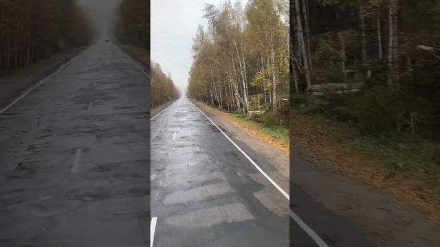 МЫ УЖЕ ДАВНО В 22-М ВЕКЕ! #дороги #россия #дальнобойщики #водители #автодор #фуры #new_shorts #auto
