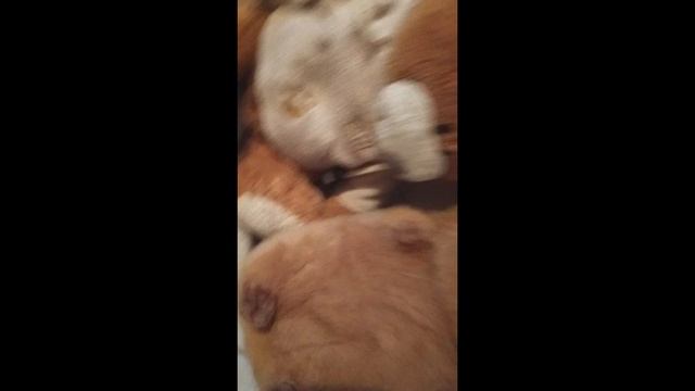 обзор на мои игрушек