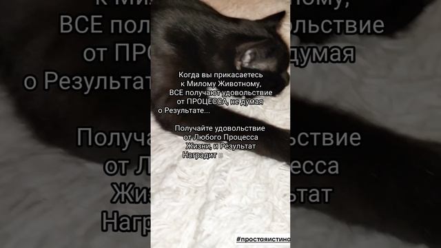 Процесс - Результат