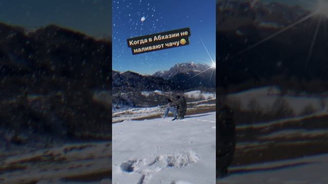 Абхазия, когда водитель не наливает вкусную чачу...