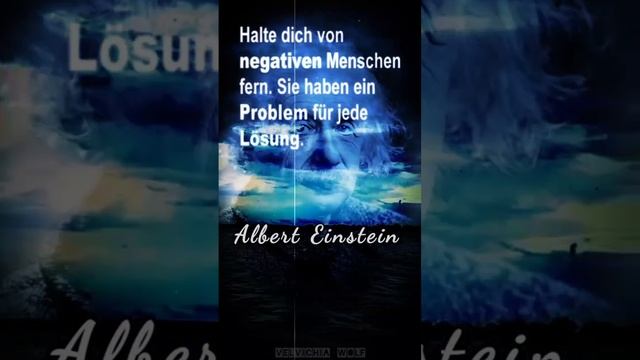 Sprüche | zitate | Albert Einstein #zitate #sprüche #shorts