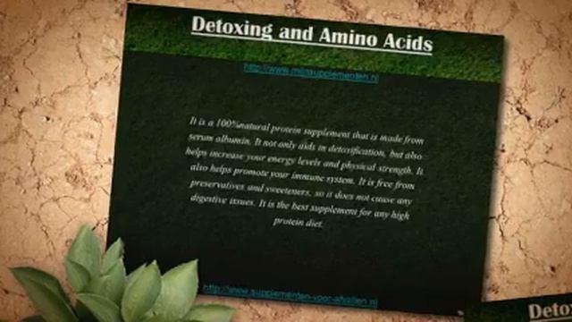 Amino Acids - Powerful Detox Supplements