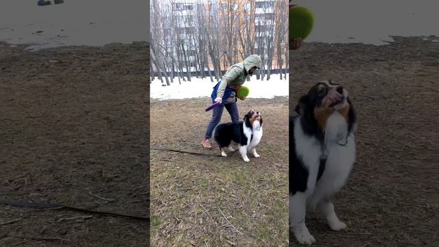 АО Барри - трюки фризби-фристайла