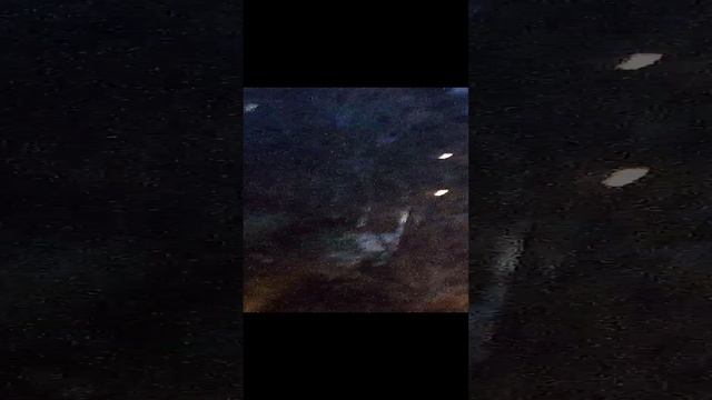 Последнее видео из больницы, птицы улетают, а меня выписывают.