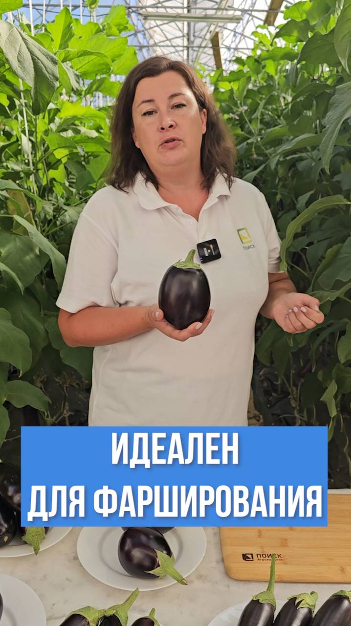 Фаршировка баклажанов? Да легко! Лучший баклажан для фарширования.