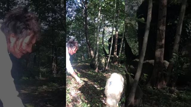 Агнец у Храмя Святой Троицы в Батуми