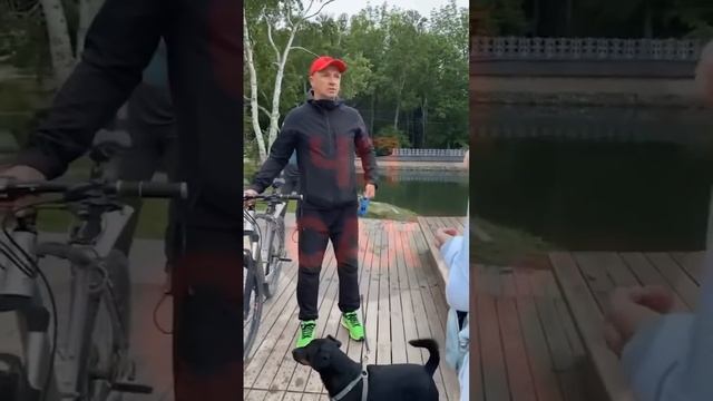 Неадекват с собакой в детском парке