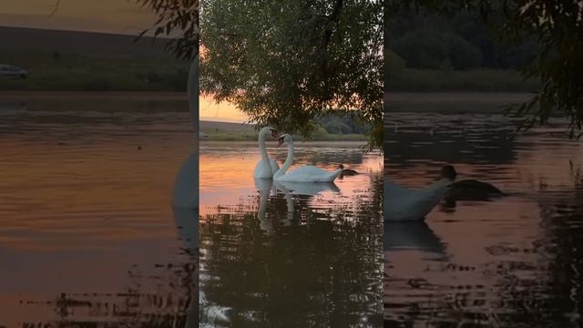 Запомню день и чиркну в календарь  автор песни: Сизов Е А