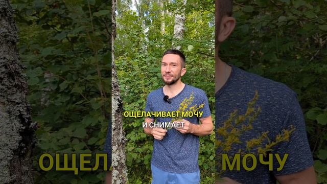 От мешков под глазами