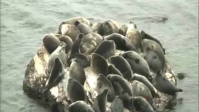 2011 год. Октябрь №8