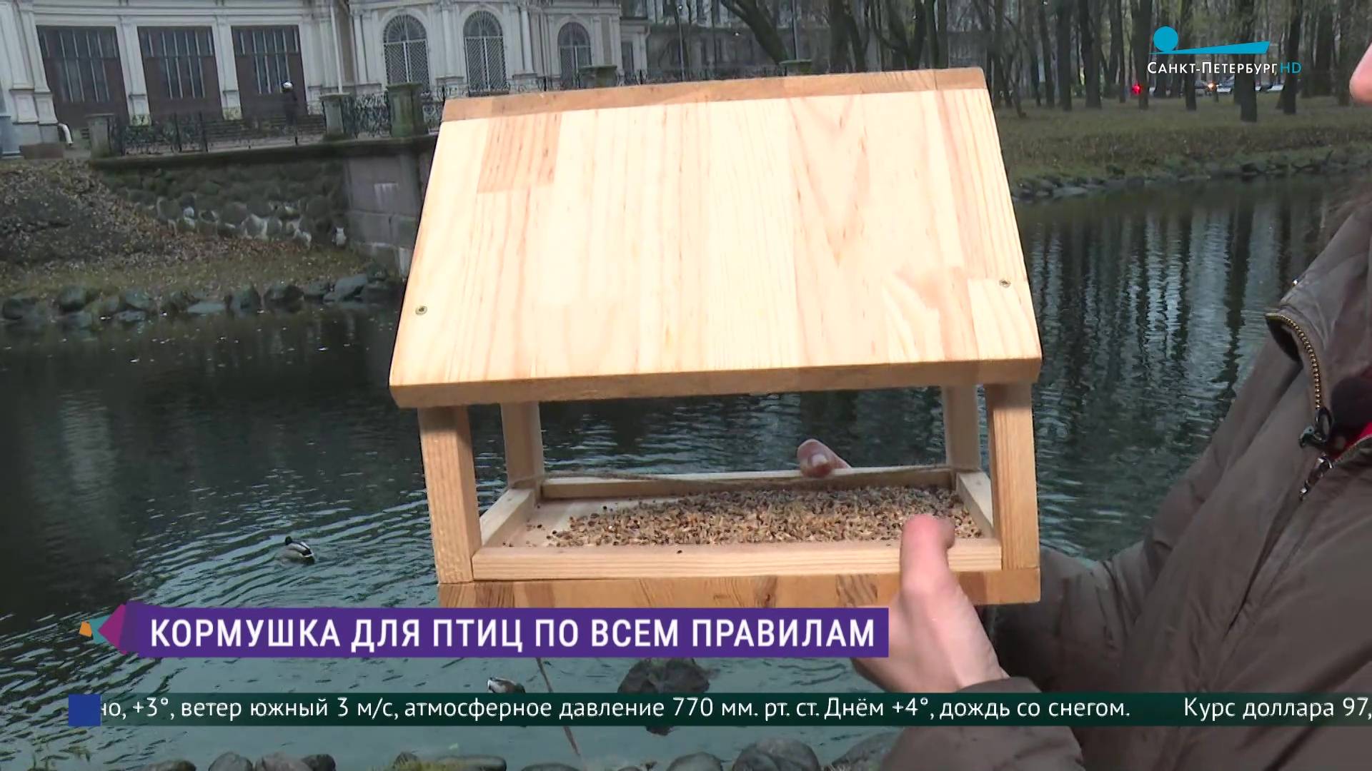 Кормушка для птиц по всем правилам