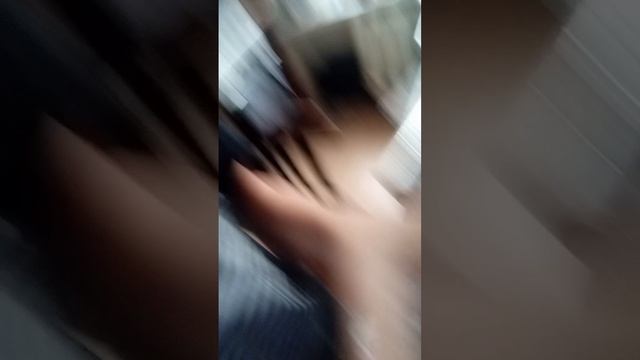 scene_output.mp45