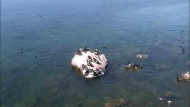 2011 Август №3