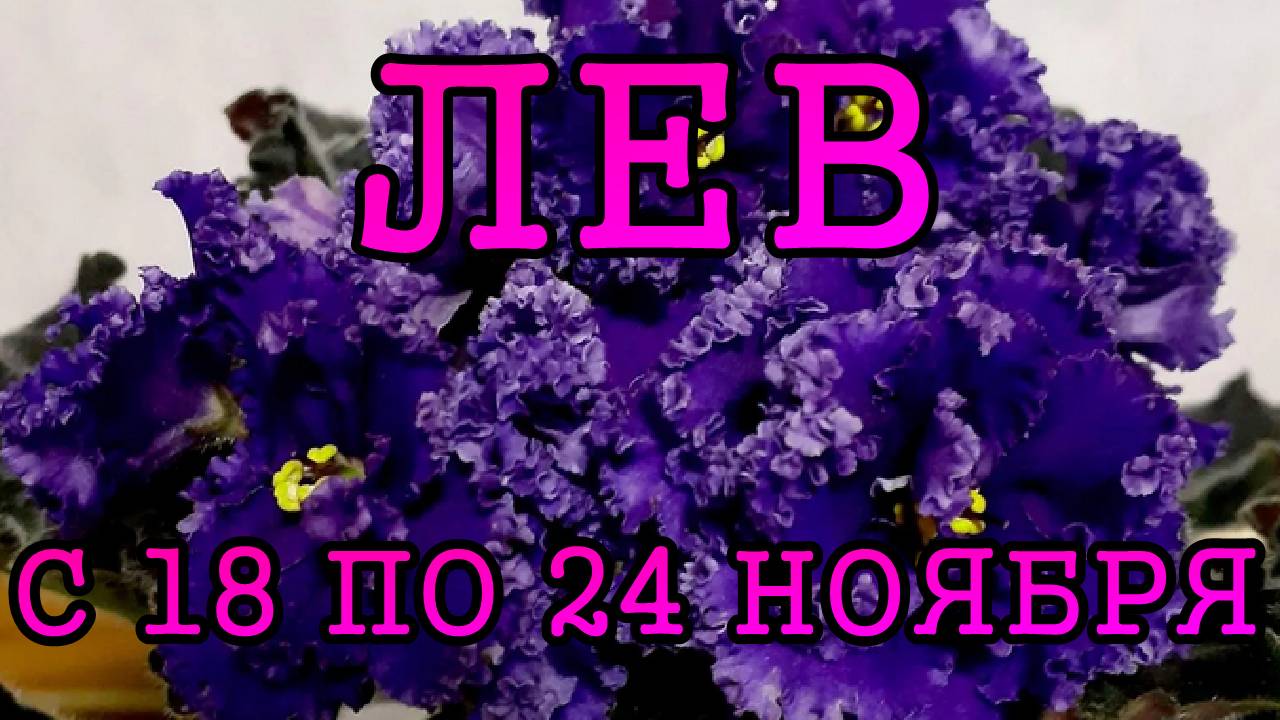 ЛЕВ таро прогноз на неделю с 18 по 24 НОЯБРЯ 2024 года.