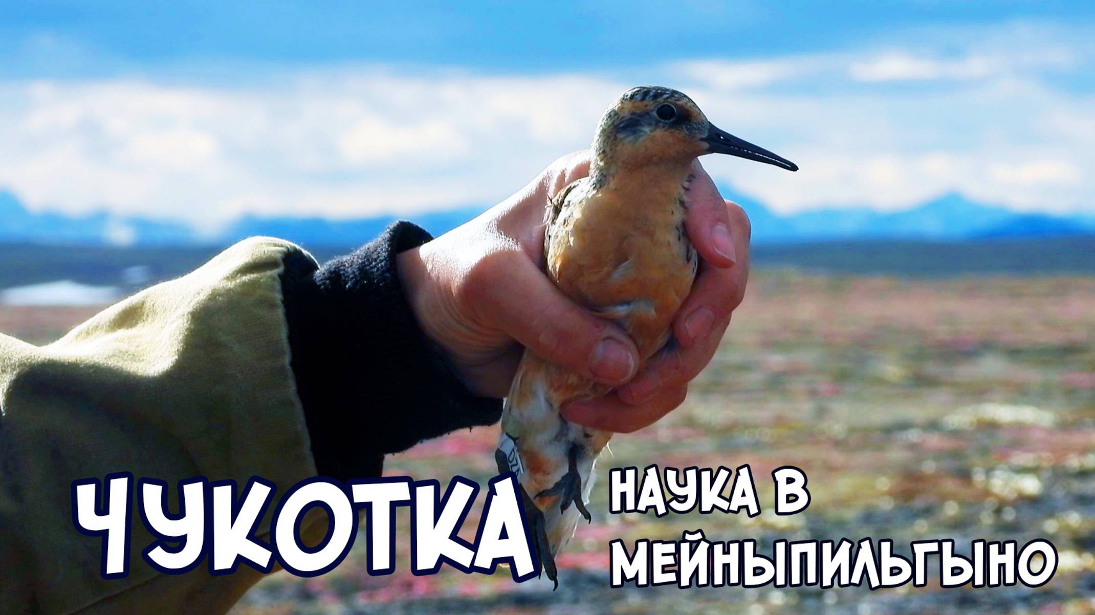 Наука на Чукотке. Мейныпильгыно