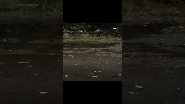 1000015520.mp4