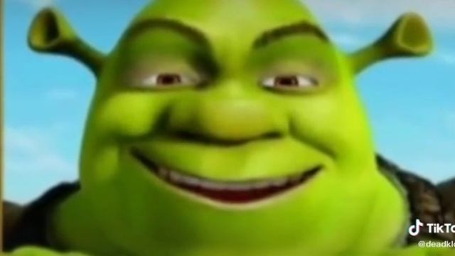 великолепный шпатель мастер