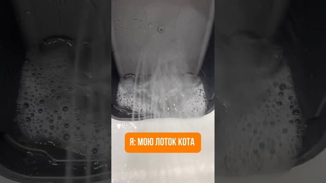 У ваших котиков так?😁
Отправь тому, кто точно поймет 👌🏻