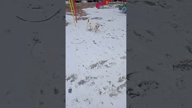 scene_output.mp4