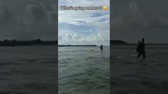 Это иллюзия? Как это понимать?