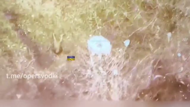 Александрийская бригада уничтожила солдат ВСУ и редкие экземпляры техники шведского производства меж