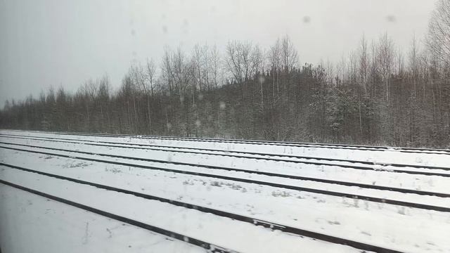 Прибытие пригородного поезда Светлополянск - Яр на станцию Шлаковая, 12.11.2024