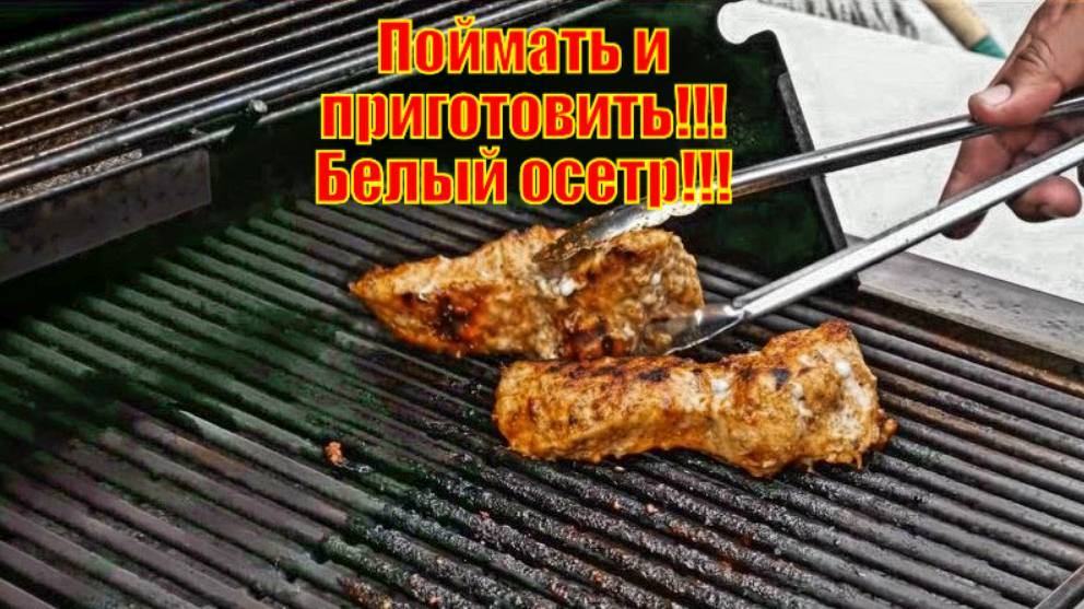 Раз в ЖИЗНИ можно поймать и приготовить!! Белый осетр!!!