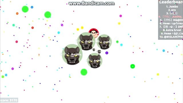 .AmiNo. Solo Player / Agar.io Gameplay