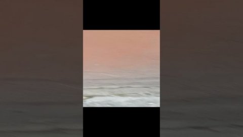 VID_20241112_163257.mp4