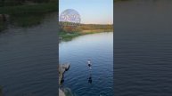Плачь и танцуй под музон