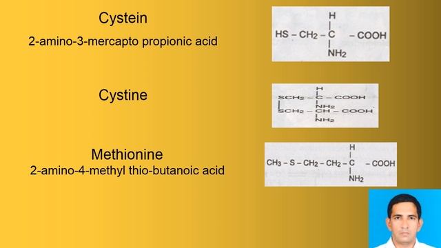 Amino Acids 06 07 2020